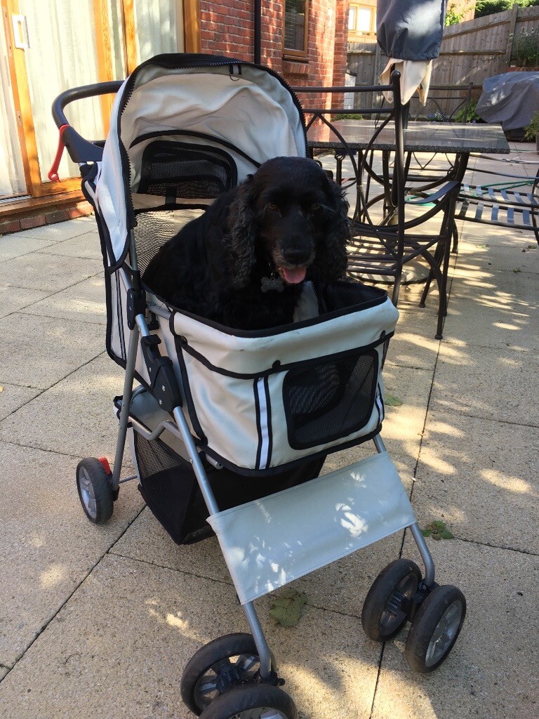 gumtree pet stroller